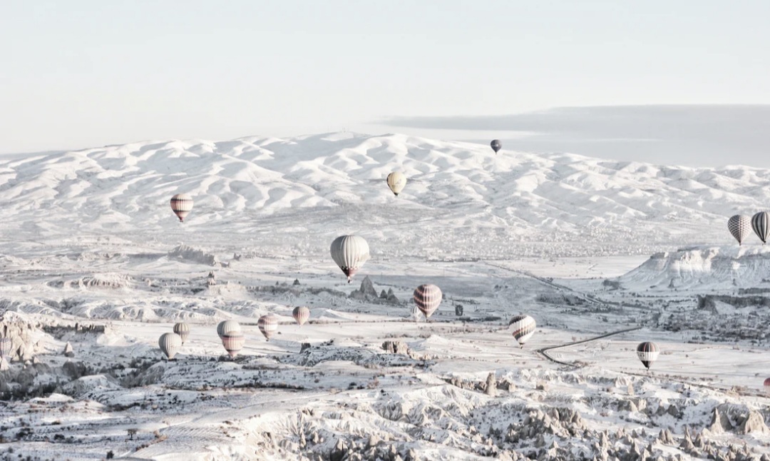 ice BIL Investment Insights